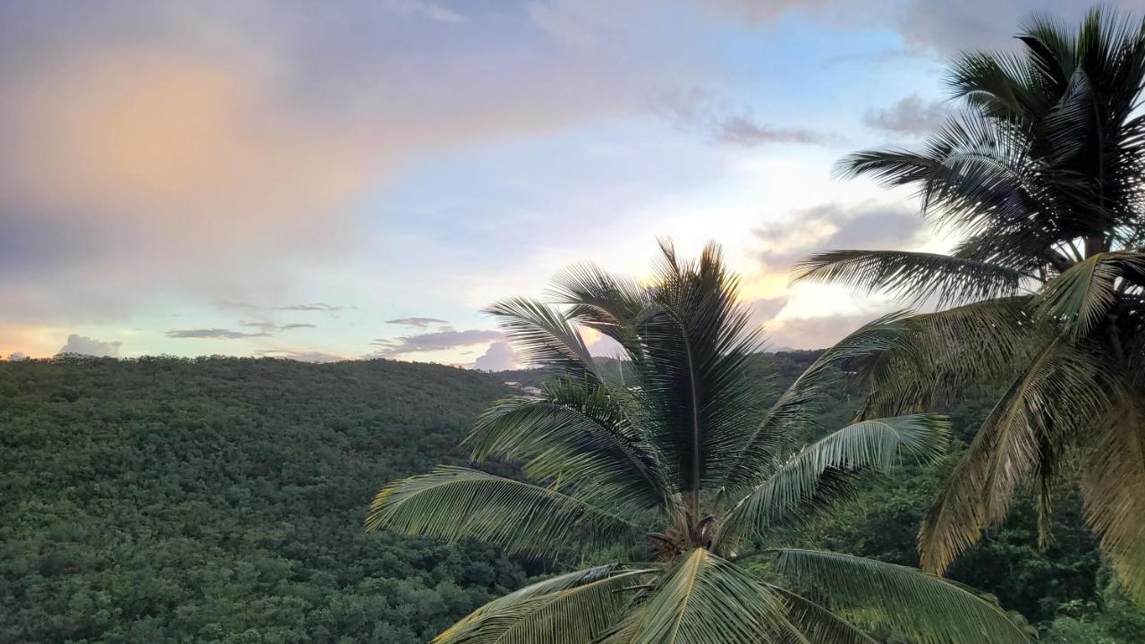 Domaine Karaibes Villa Deshaies Eksteriør billede